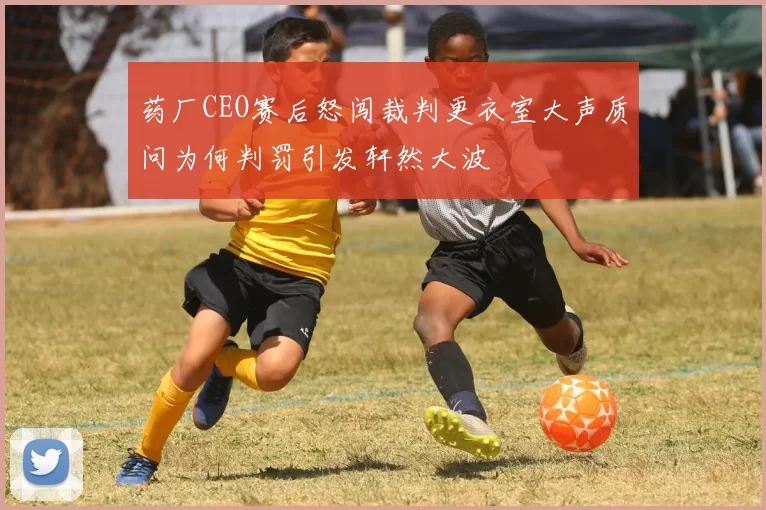 药厂CEO赛后怒闯裁判更衣室大声质问为何判罚引发轩然大波