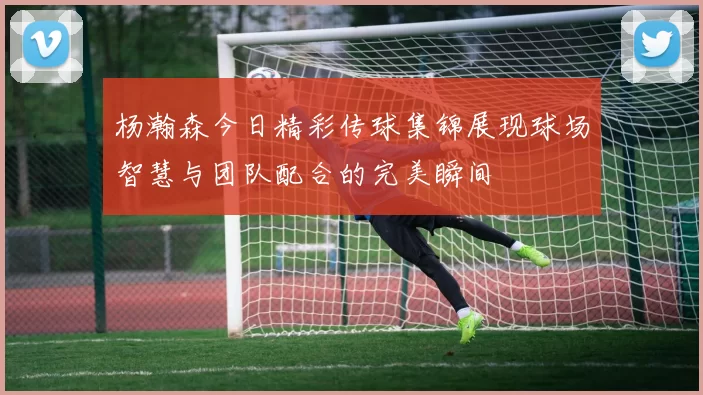 杨瀚森今日精彩传球集锦展现球场智慧与团队配合的完美瞬间